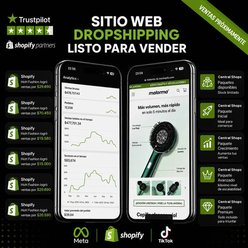 Sitio web dropshipping listo para vender